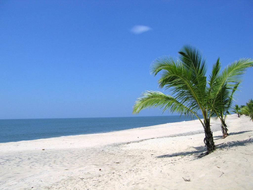 Marari Felix Beach Homestay Mararikulam Exterior foto